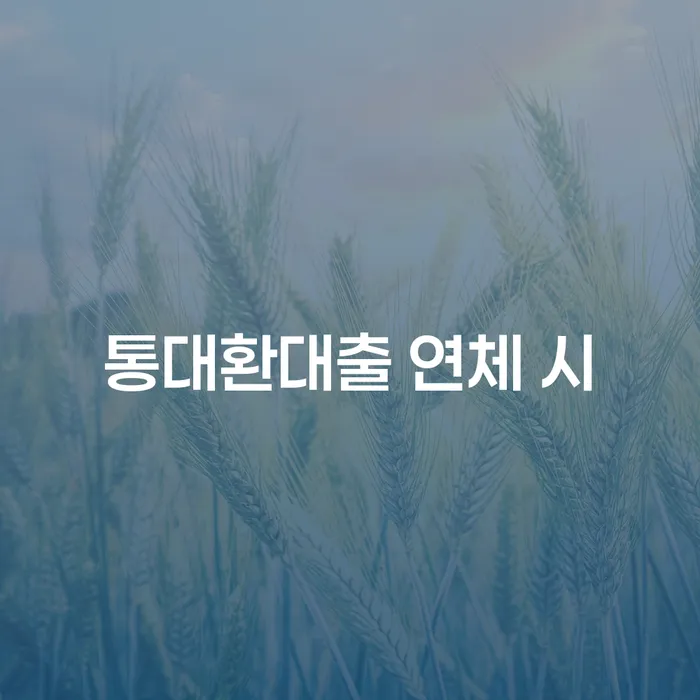 개인회생 개인회생으로 해결 해결하고 싶다면